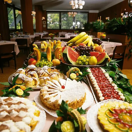 Hotel Leonardo Da Vinci Wellness 3*