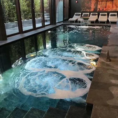 Leonardo Da Vinci Wellness Отель 3*